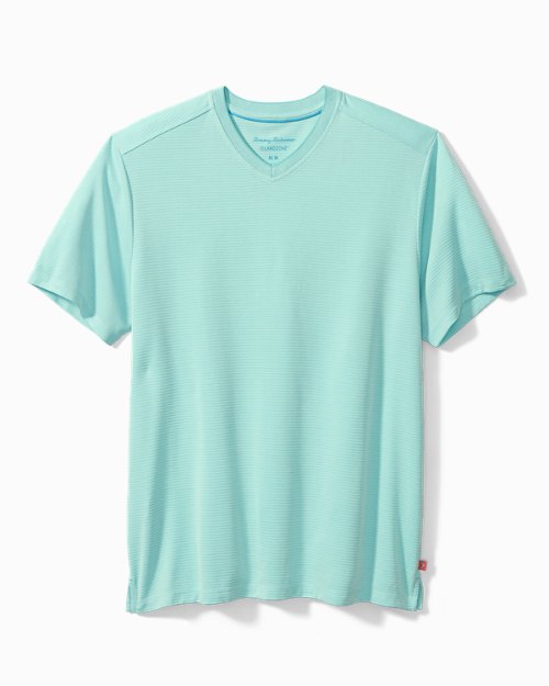 Big and Tall Coastal Crest IslandZone V-Neck Shirt