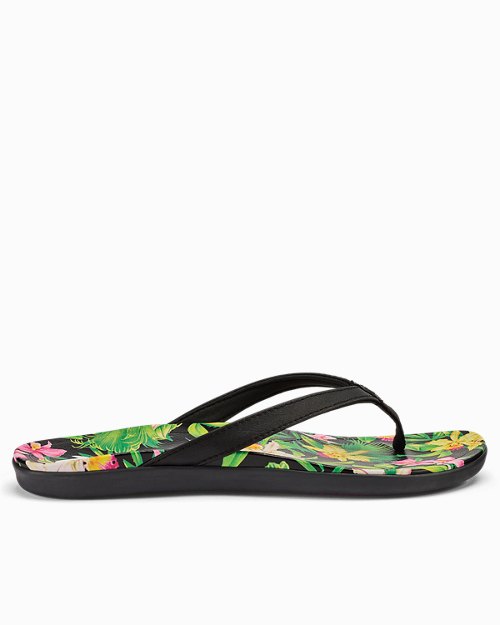 Womens Tommy Bahama | OluKai Exclusive Hoōpio Hau Sandals