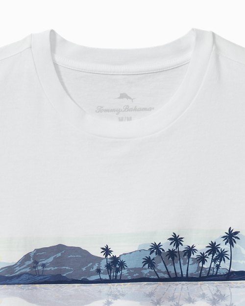 Big and Tall Eye on the Horizon Graphic T-Shirt