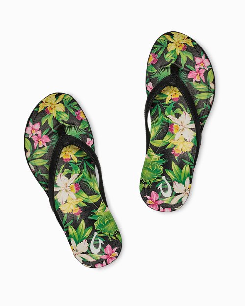 Womens Tommy Bahama | OluKai Exclusive Hoōpio Hau Sandals