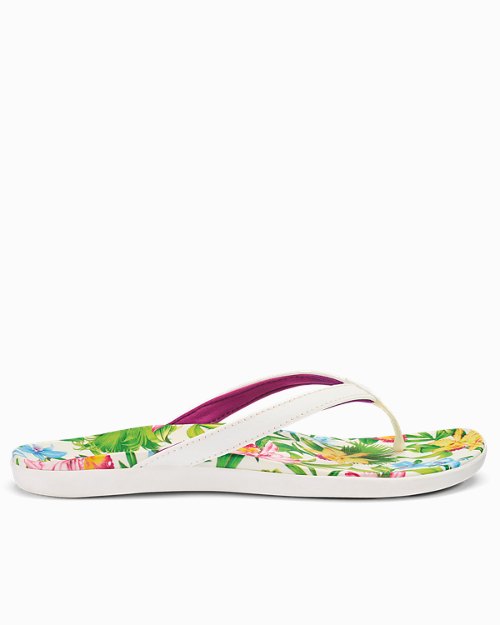 Womens Tommy Bahama | OluKai Exclusive Hoōpio Hau Sandals