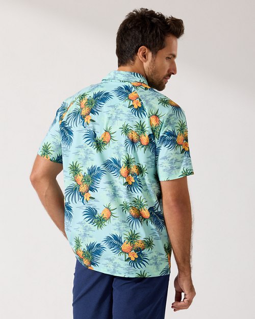 Palm Desert Pia Isle IslandZone Polo