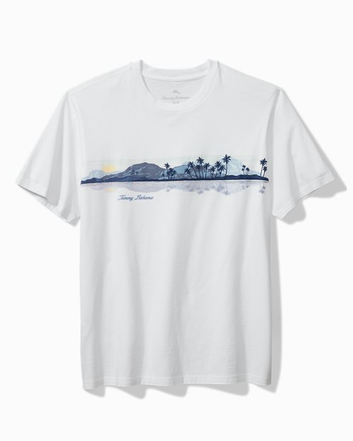Big and Tall Eye on the Horizon Graphic T-Shirt