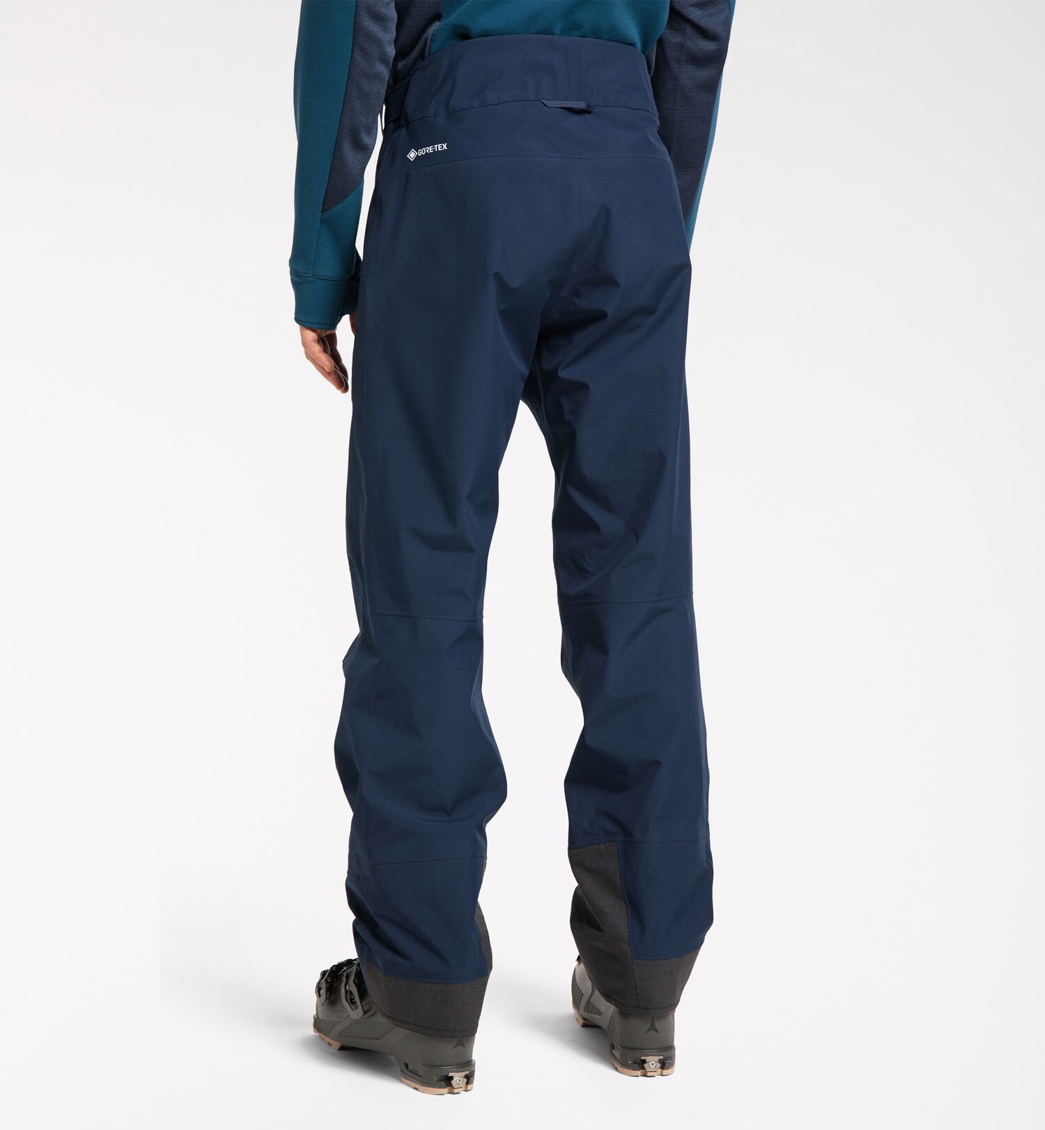 Alpine GTX Pant Men