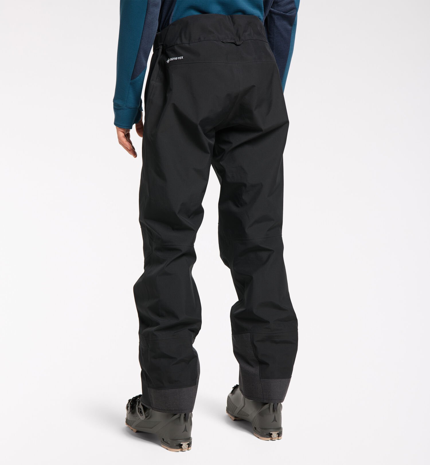 Alpine GTX Pant Men