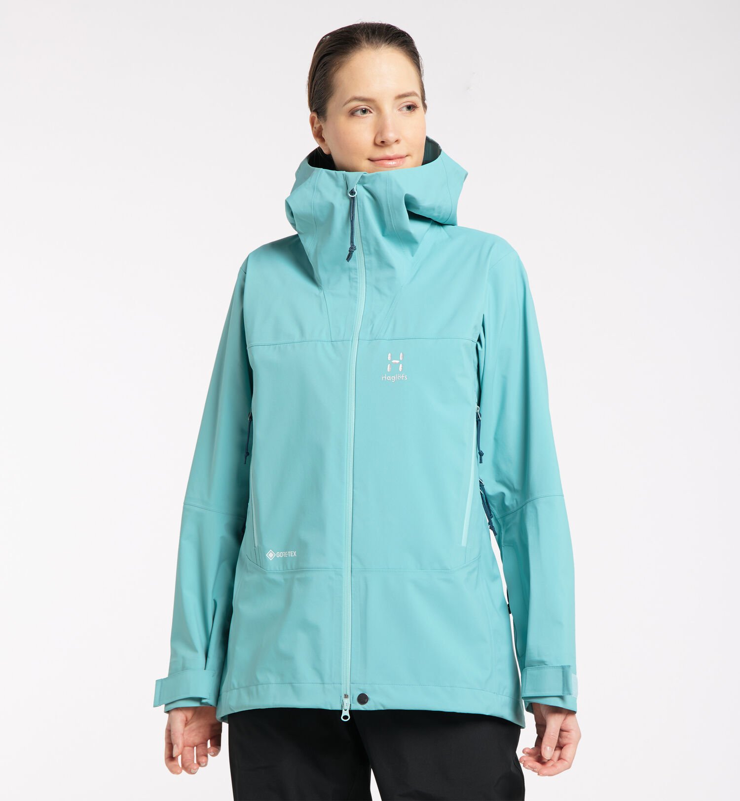 Dalskidan GTX Jacket Women
