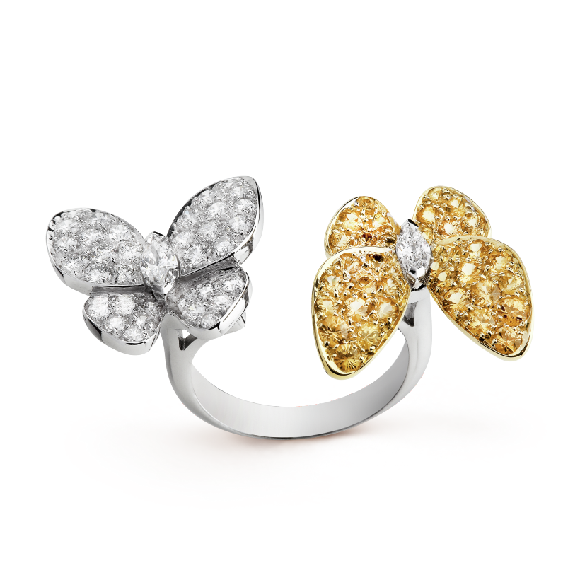 Two Butterfly Between the Finger ring