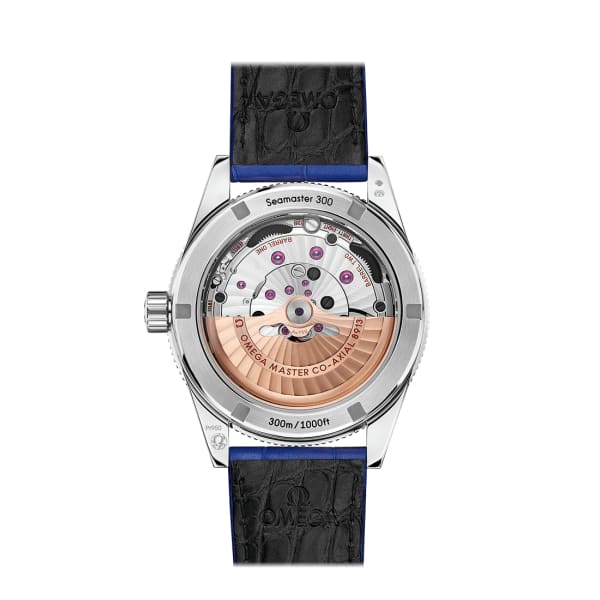 Omega Seamaster Ref. # 234.93.41.21.99.002