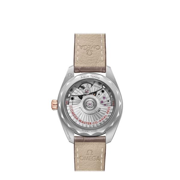 Omega Seamaster Ref. # 220.23.34.20.06.001