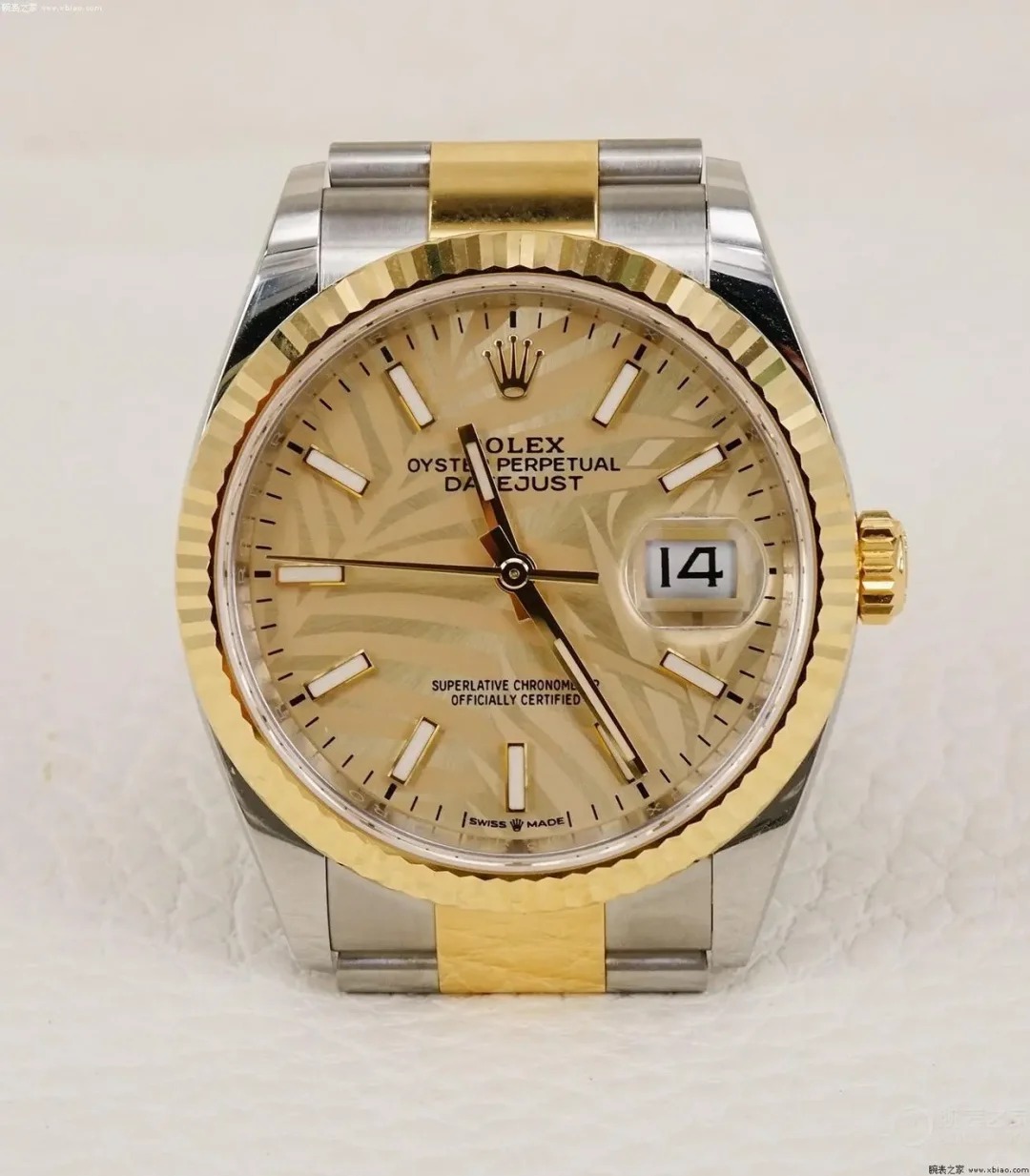 Rolex Datejust 36mm Golden Palm Oyster 126203-0038