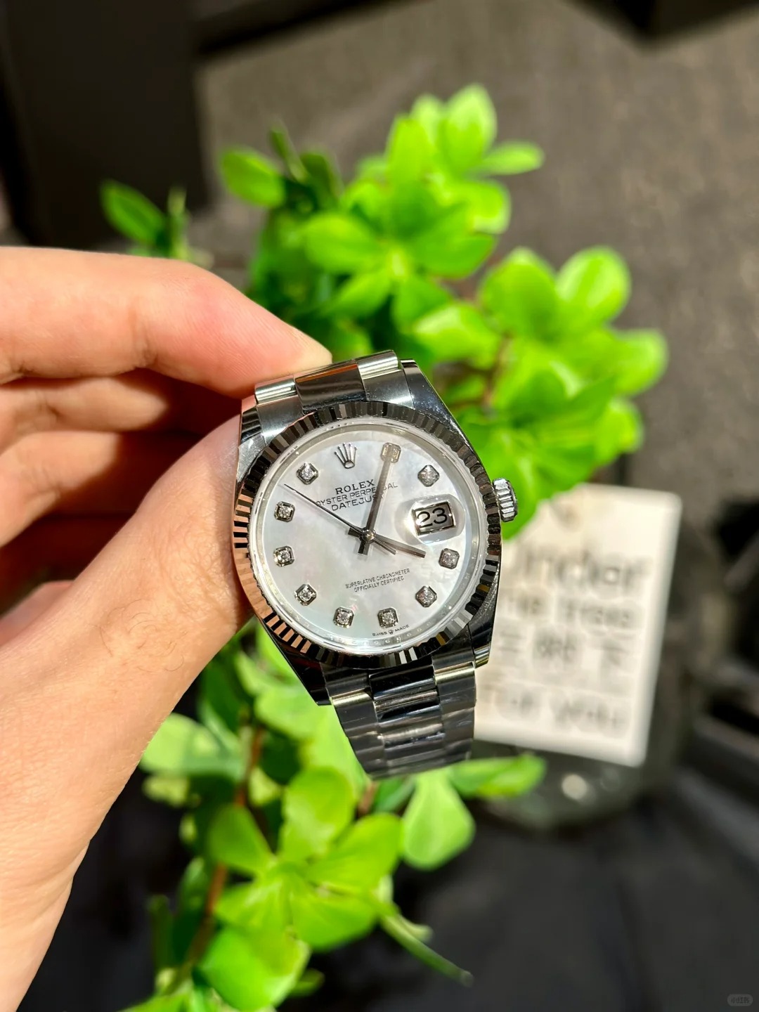 Rolex Datejust 36mm Diamond m126234-0019