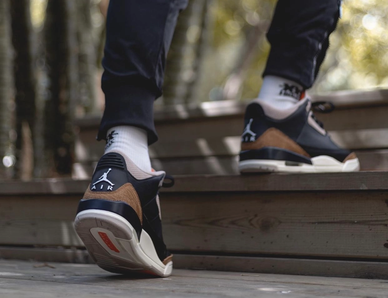 Jordan 3 Retro Desert Elephant