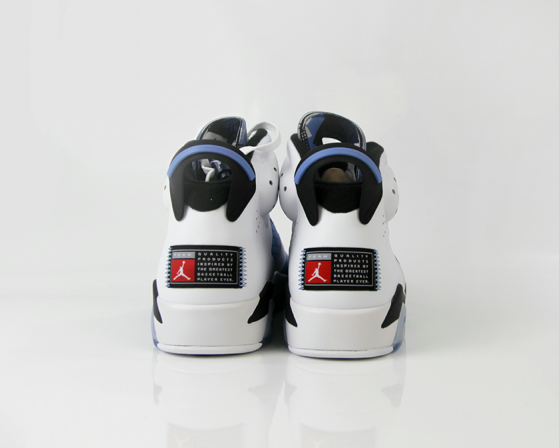 Jordan 6 UNC