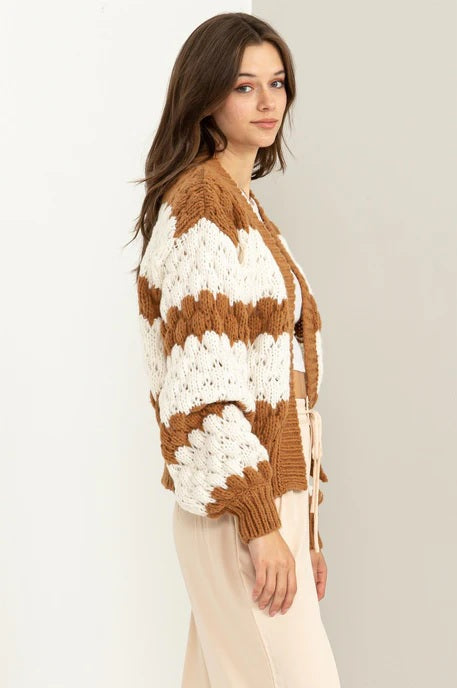 Back And Forth Cardigan in Brown/White