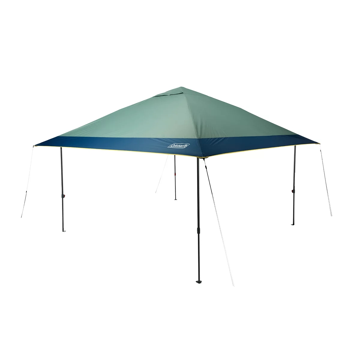 10 x 10 Canopy