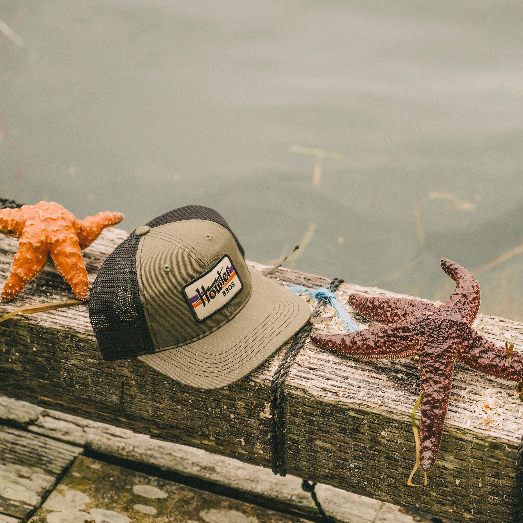 Howler Electric Stripe Standard Hat