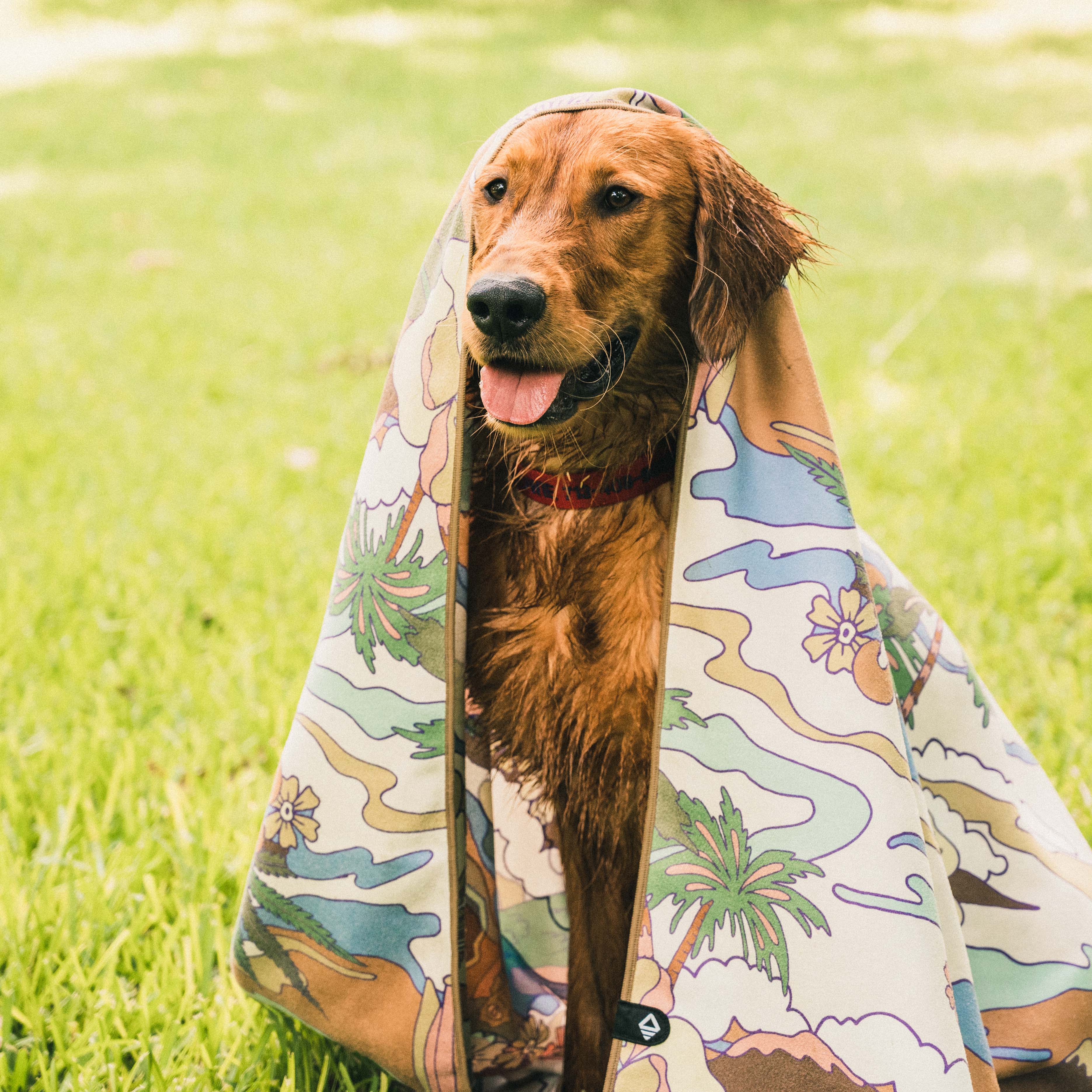 Nomadix x Howler Towel