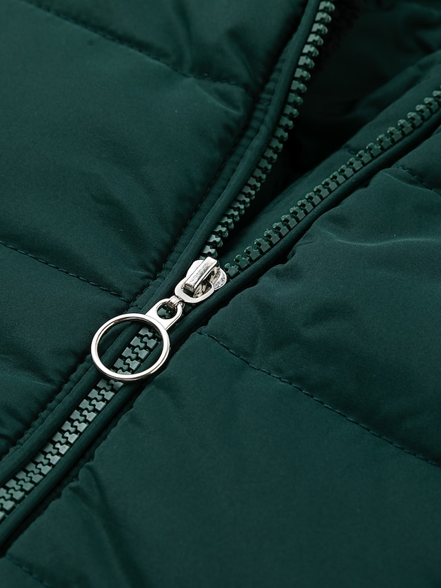 Women's Puffer Jacket Winter Jacket Winter Coat Warm Windproof Street Casual Daily Zipper Pocket Zipper Hoodie Casual Street Style Plain Regular Fit Outerwear Long Sleeve