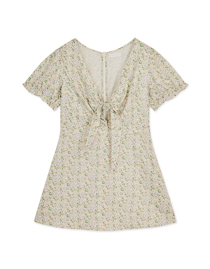Ditsy Floral Tie Ribbon Mini Dress