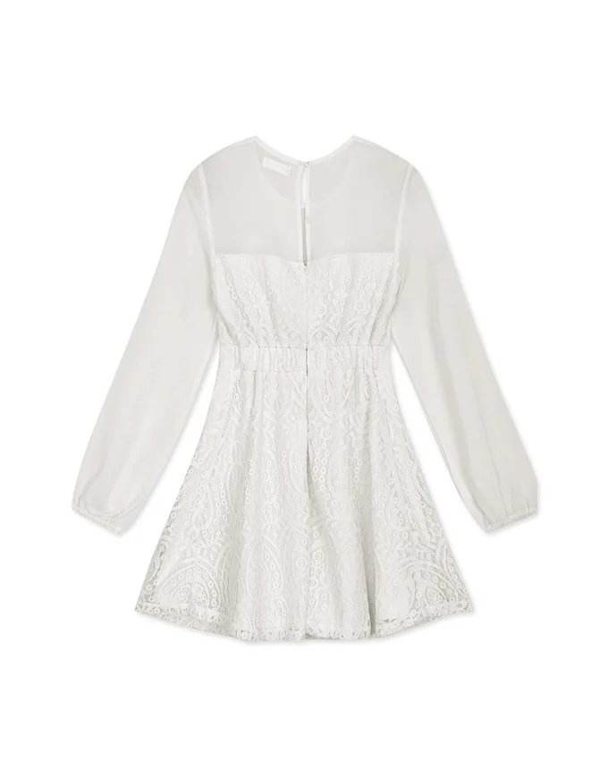 Sweetheart Translucent Sleeve Lace Mini Dress