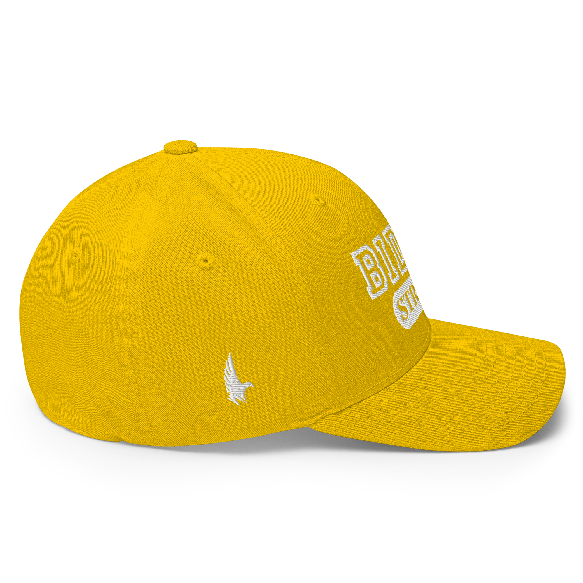 Biden Strong Fitted Hat