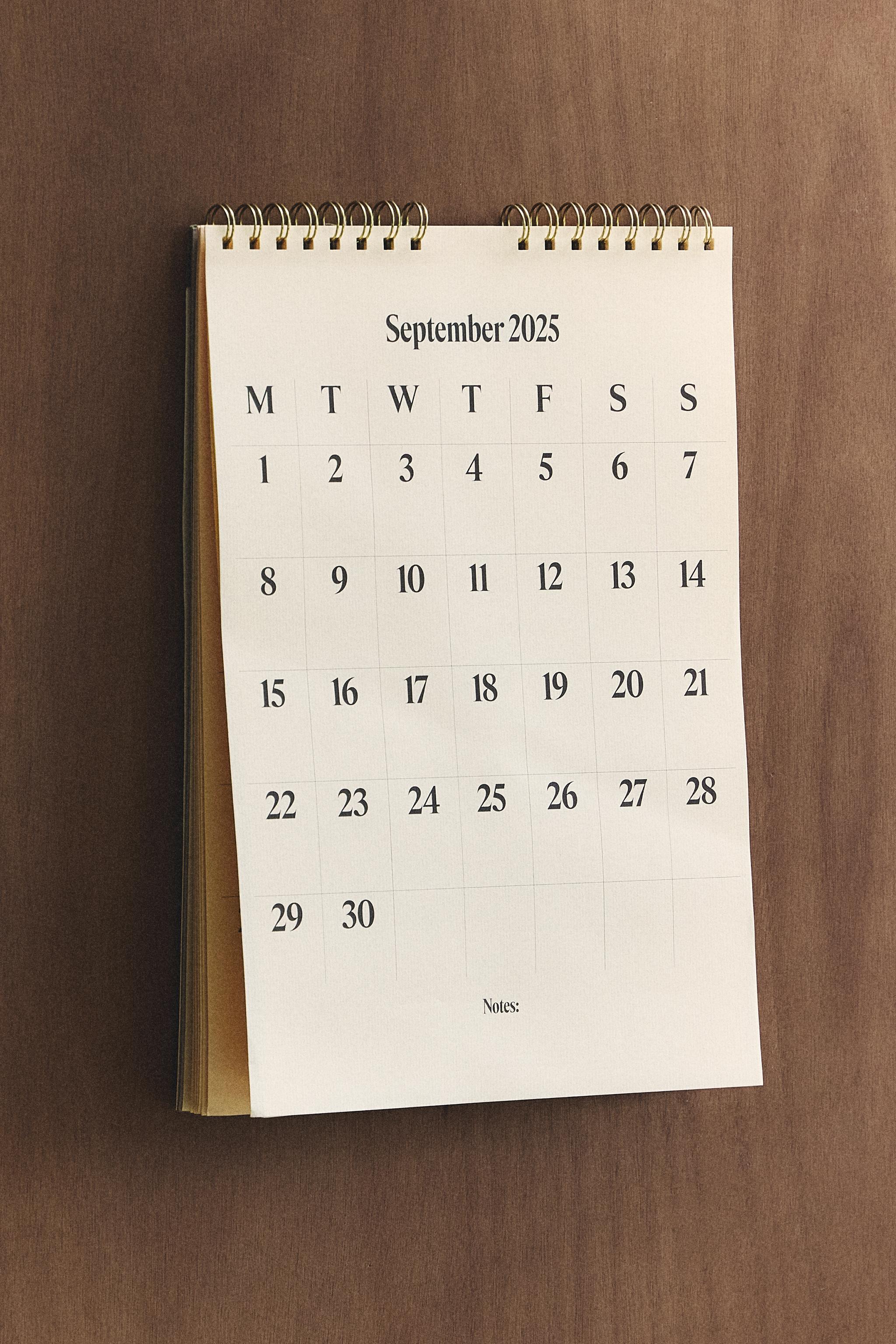 2025-2026 WALL CALENDAR