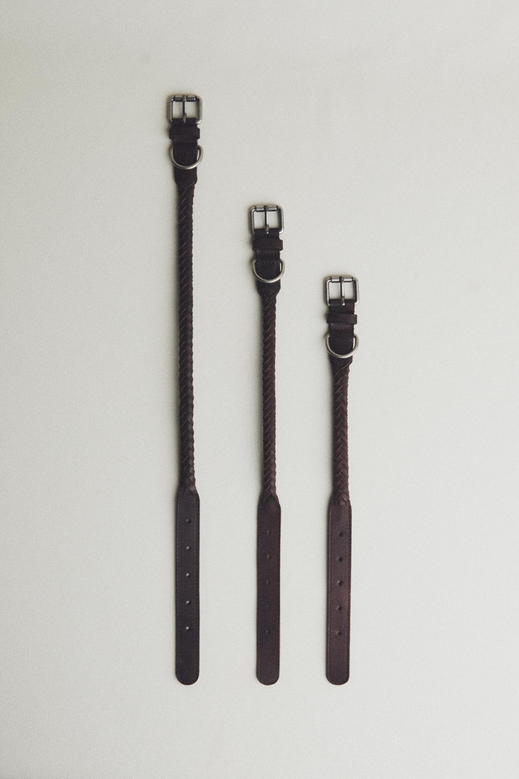 BRAIDED LEATHER DOG COLLAR