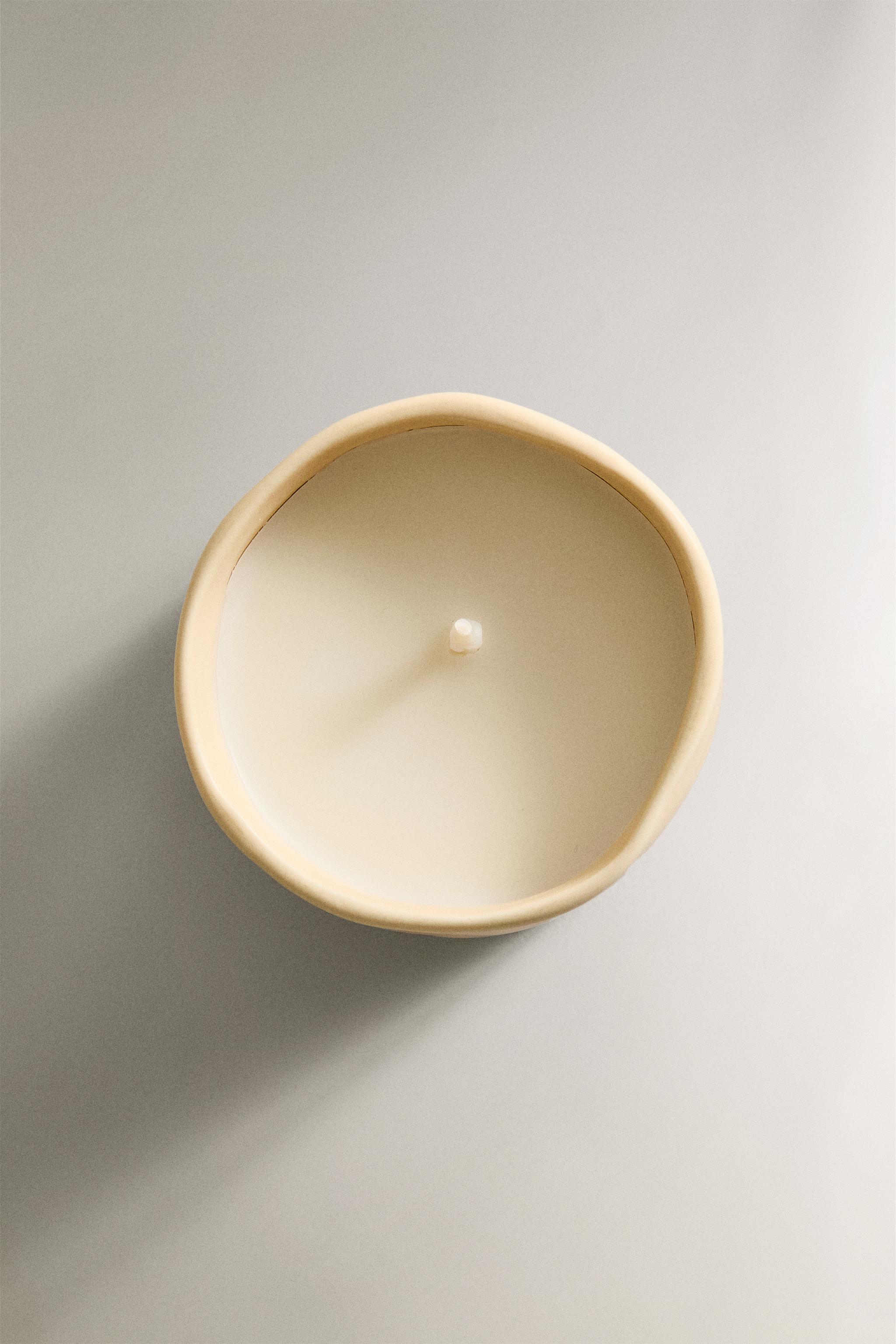 (150 G) LUMINOUS CAMELLIA SCENTED CANDLE