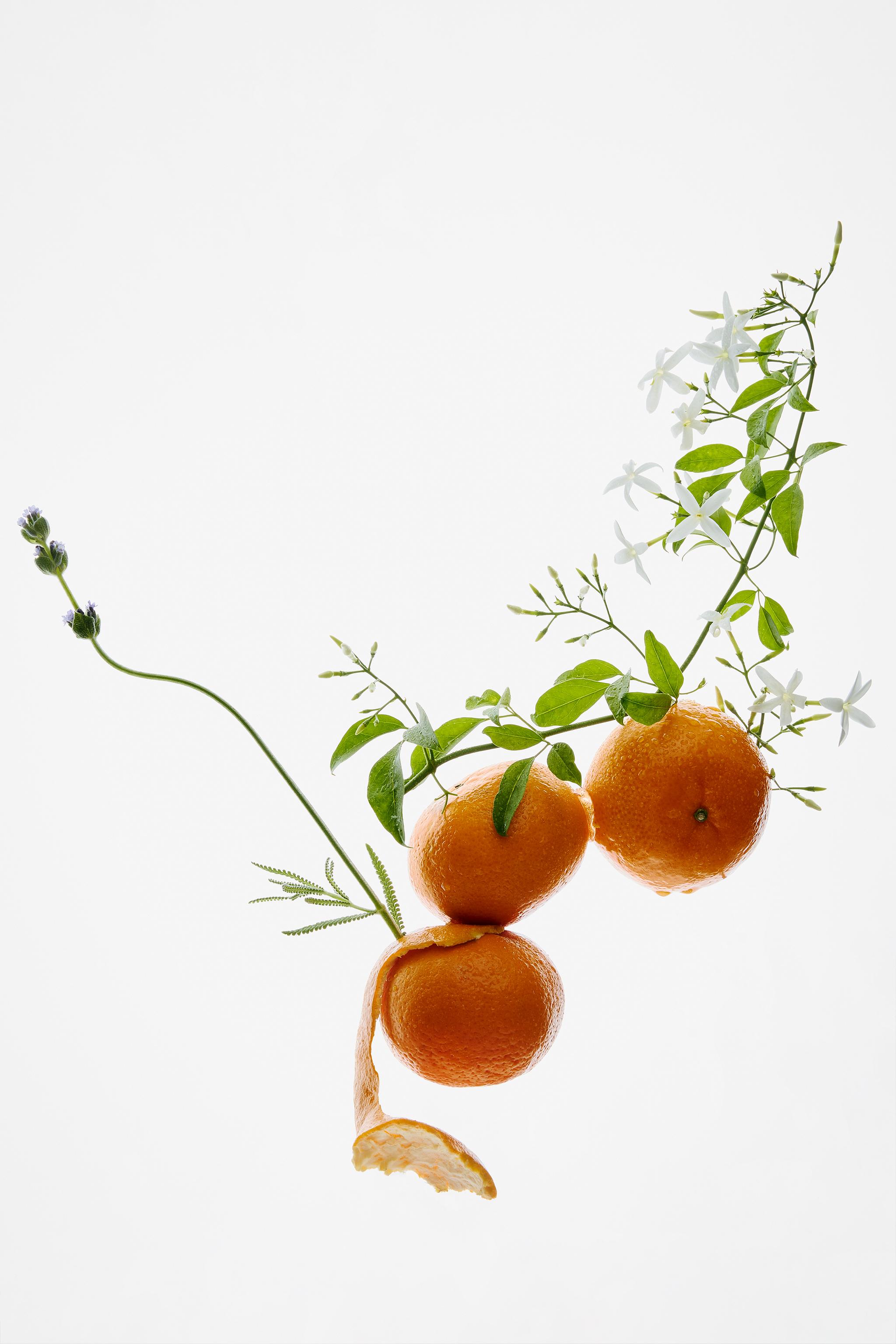 GOLDEN DECADE EDP 80 ML (2.71 FL. OZ).