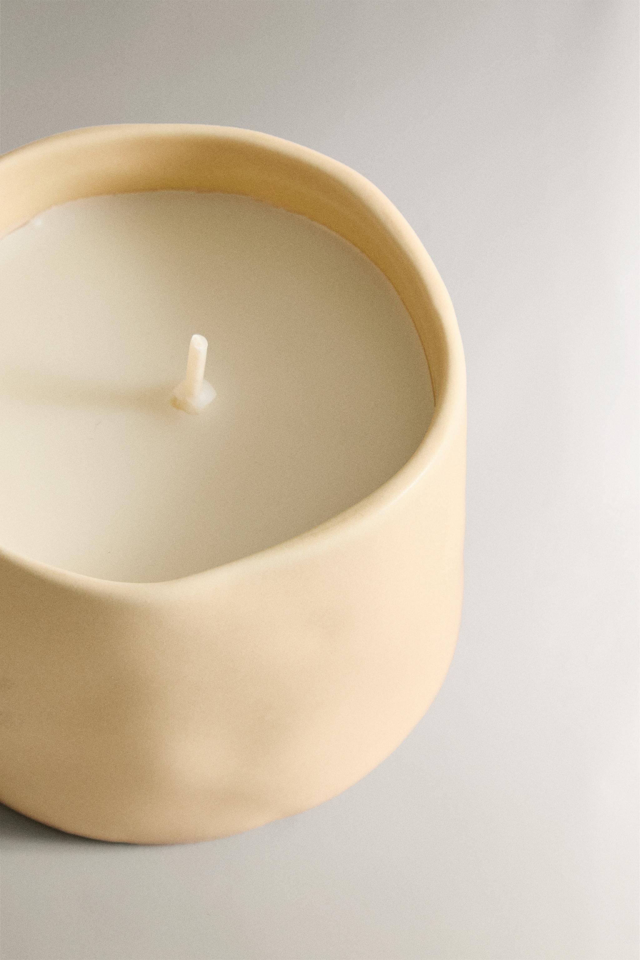 (150 G) LUMINOUS CAMELLIA SCENTED CANDLE