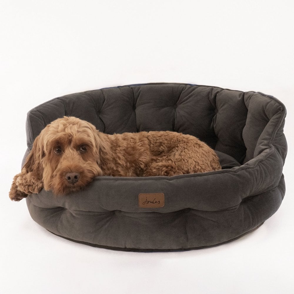 Joules Velvet Chesterfield Dog Bed