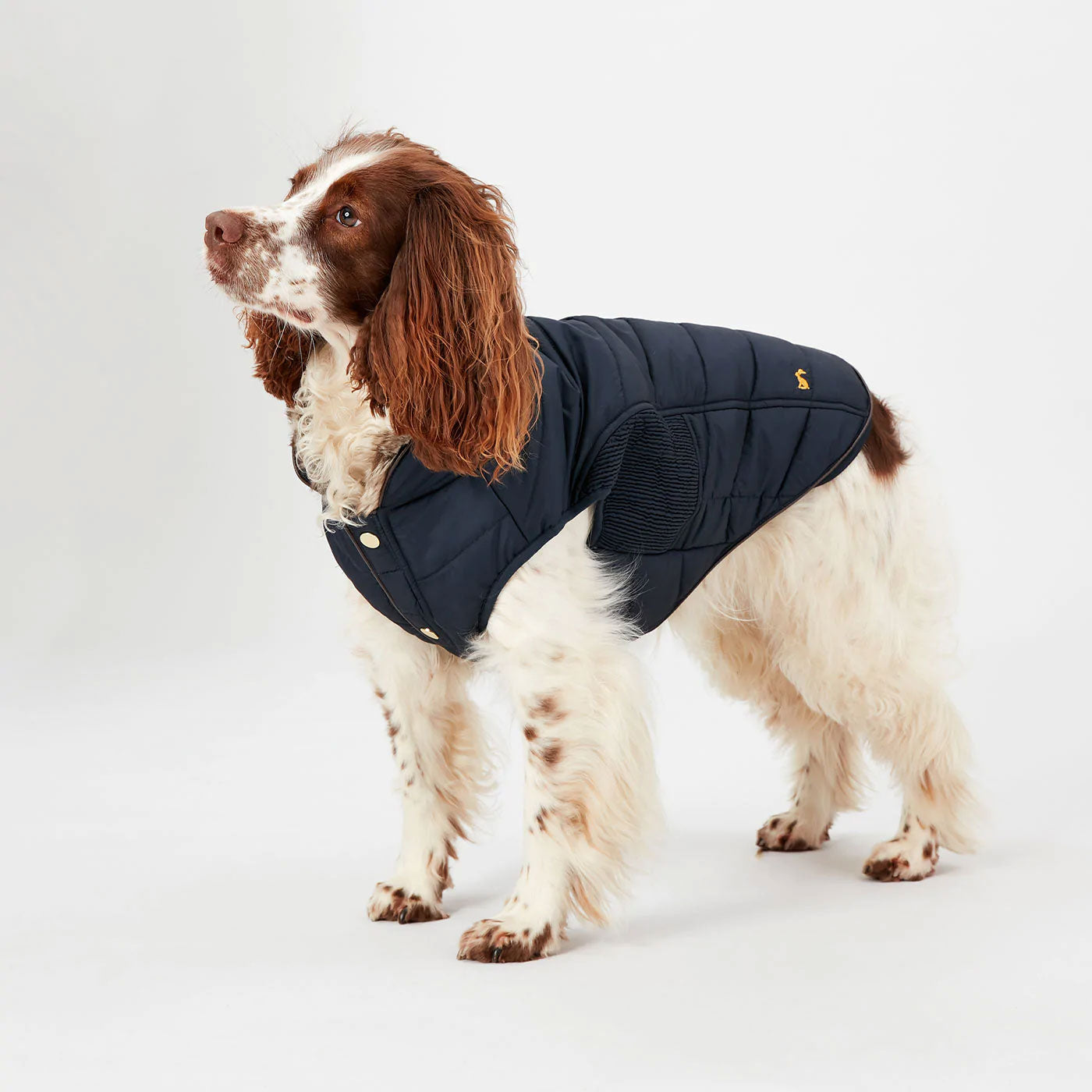 Joules Cherrington Dog Coat