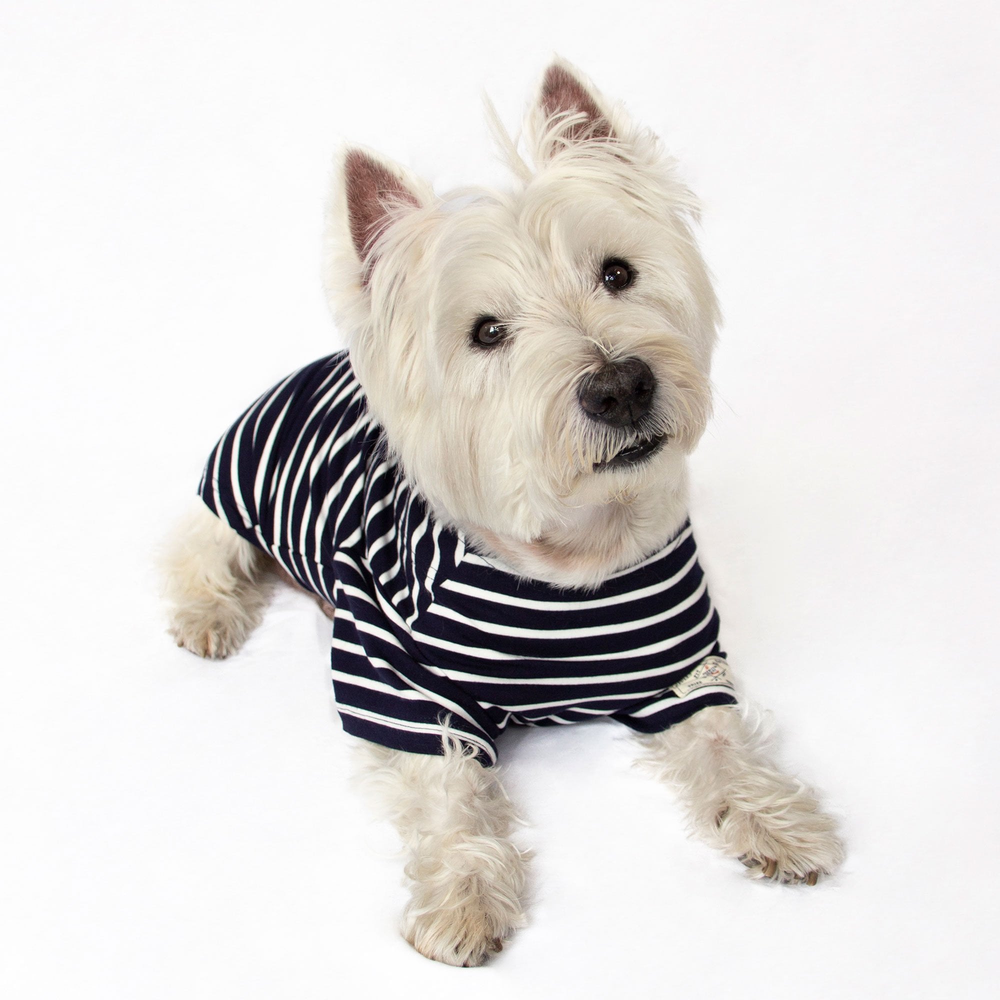 Joules Harbour Top for Dogs
