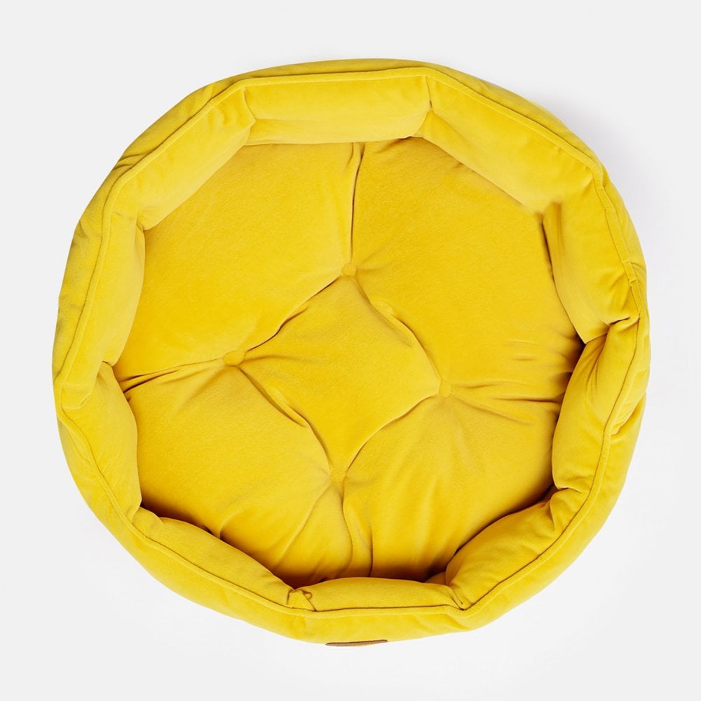 Joules Velvet Chesterfield Dog Bed