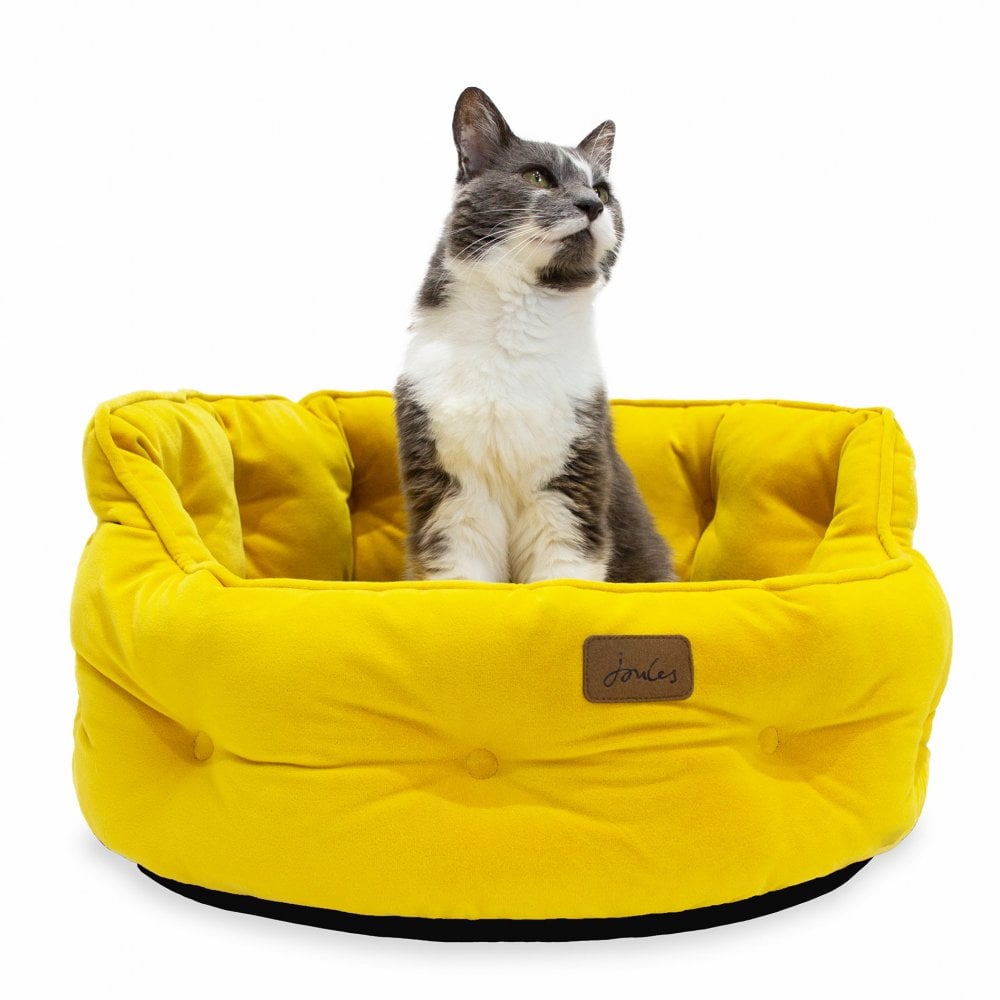 Joules Velvet Chesterfield Dog Bed
