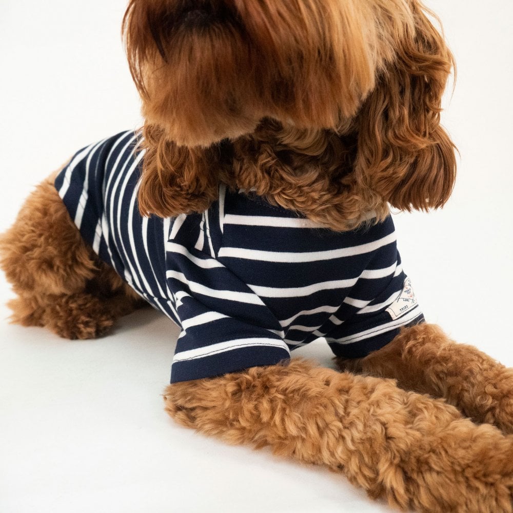 Joules Harbour Top for Dogs