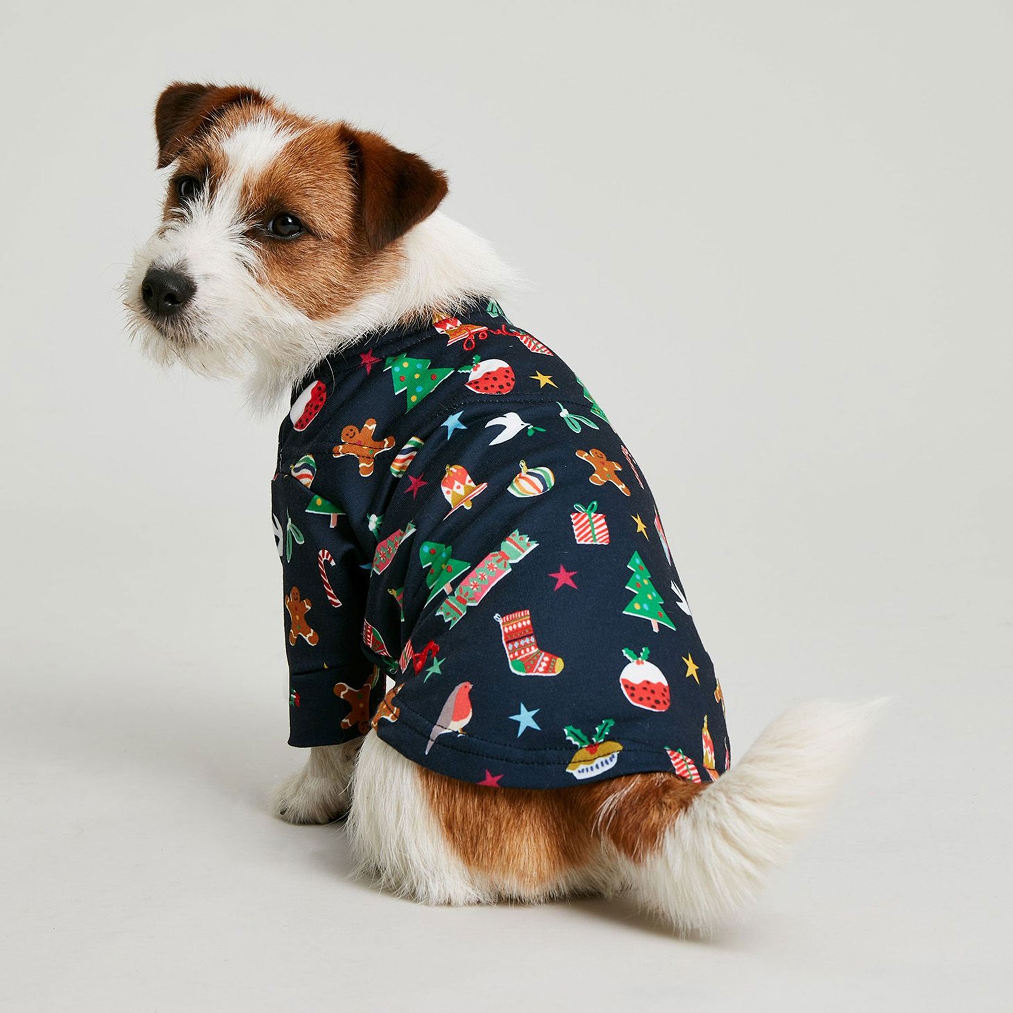 Joules Bauble Festive Christmas Family Print Dog Pj's