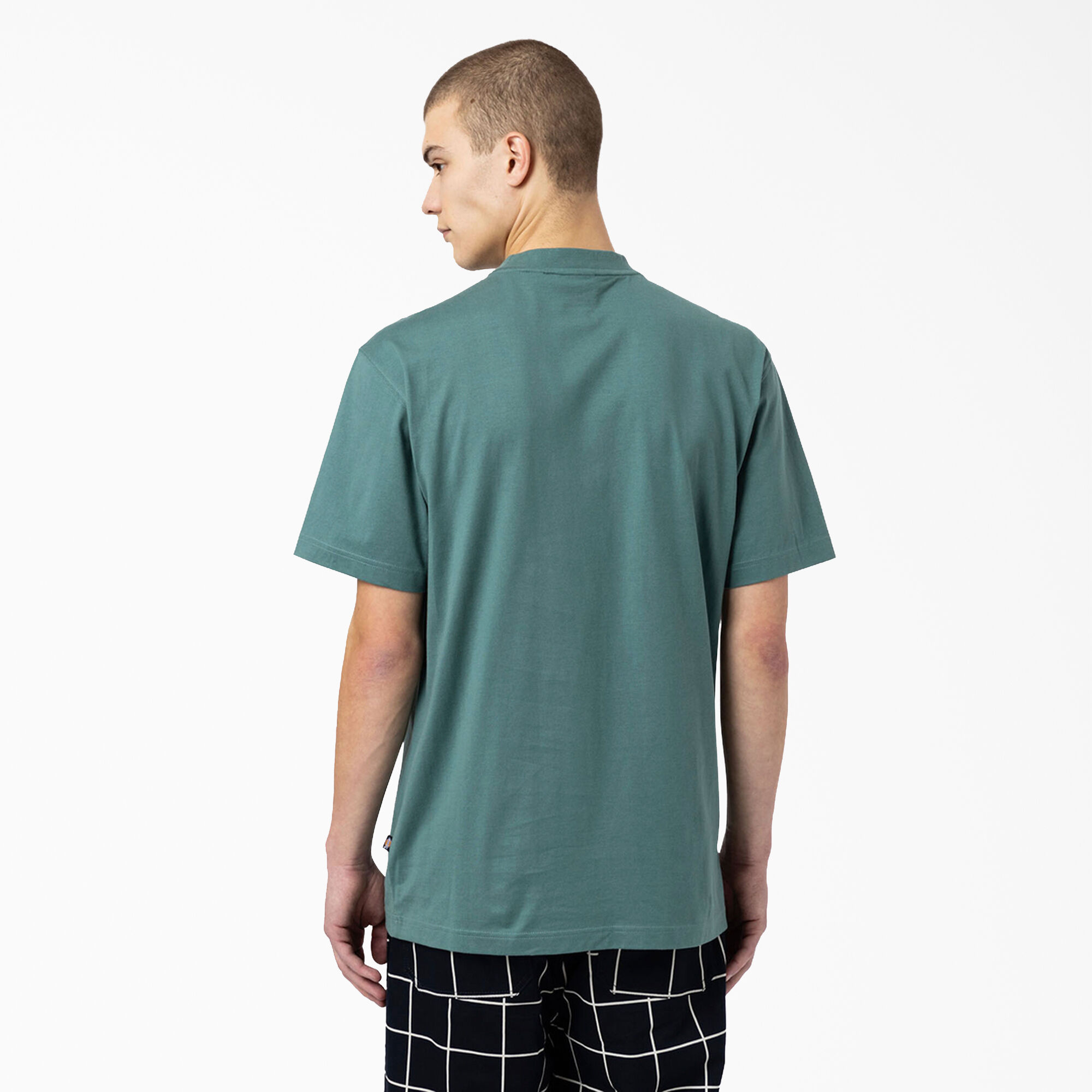 Dickies Skateboarding Mount Vista T-Shirt