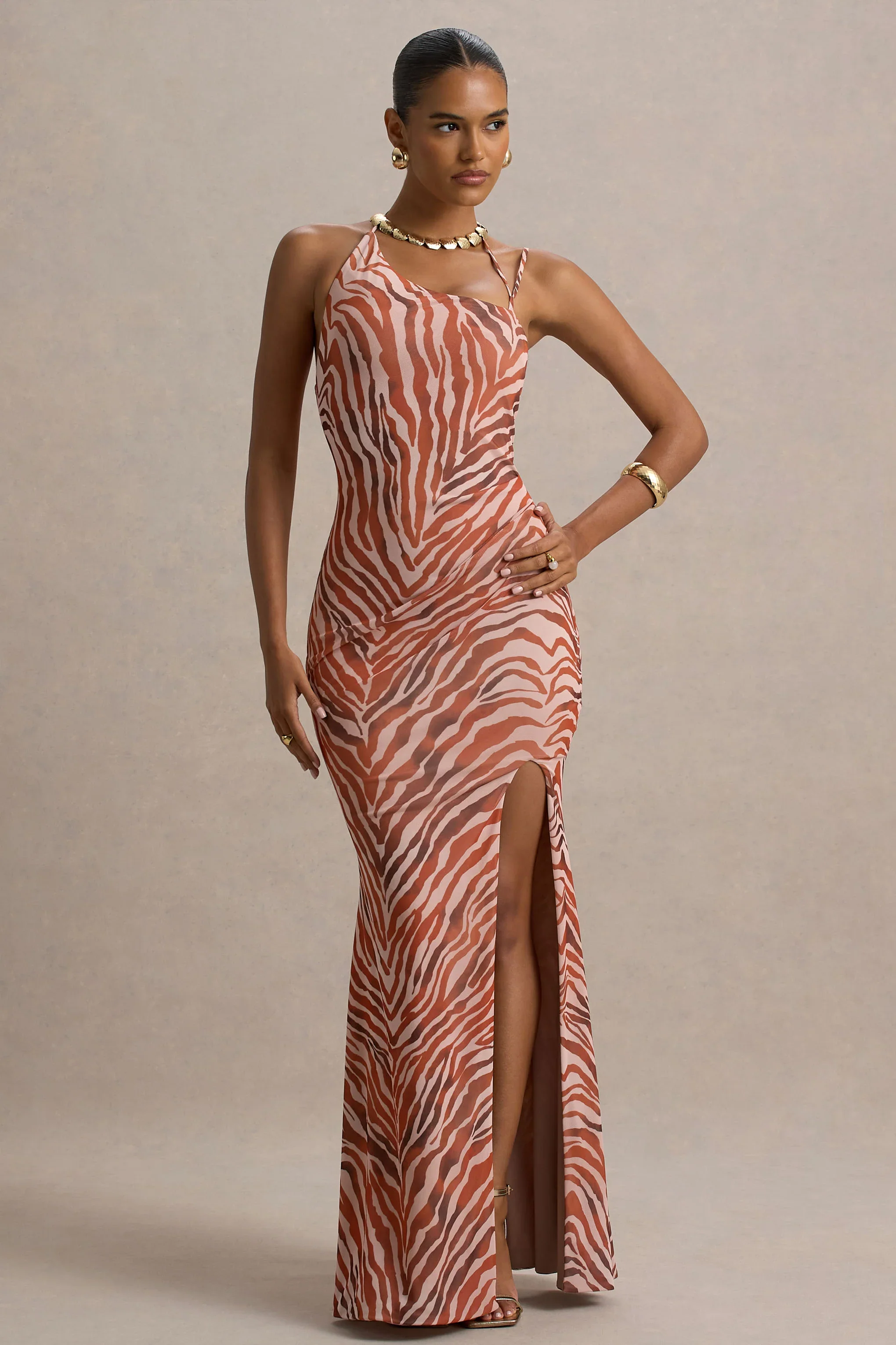Florica | Zebra Print Mesh Asymmetric Maxi Dress With Split