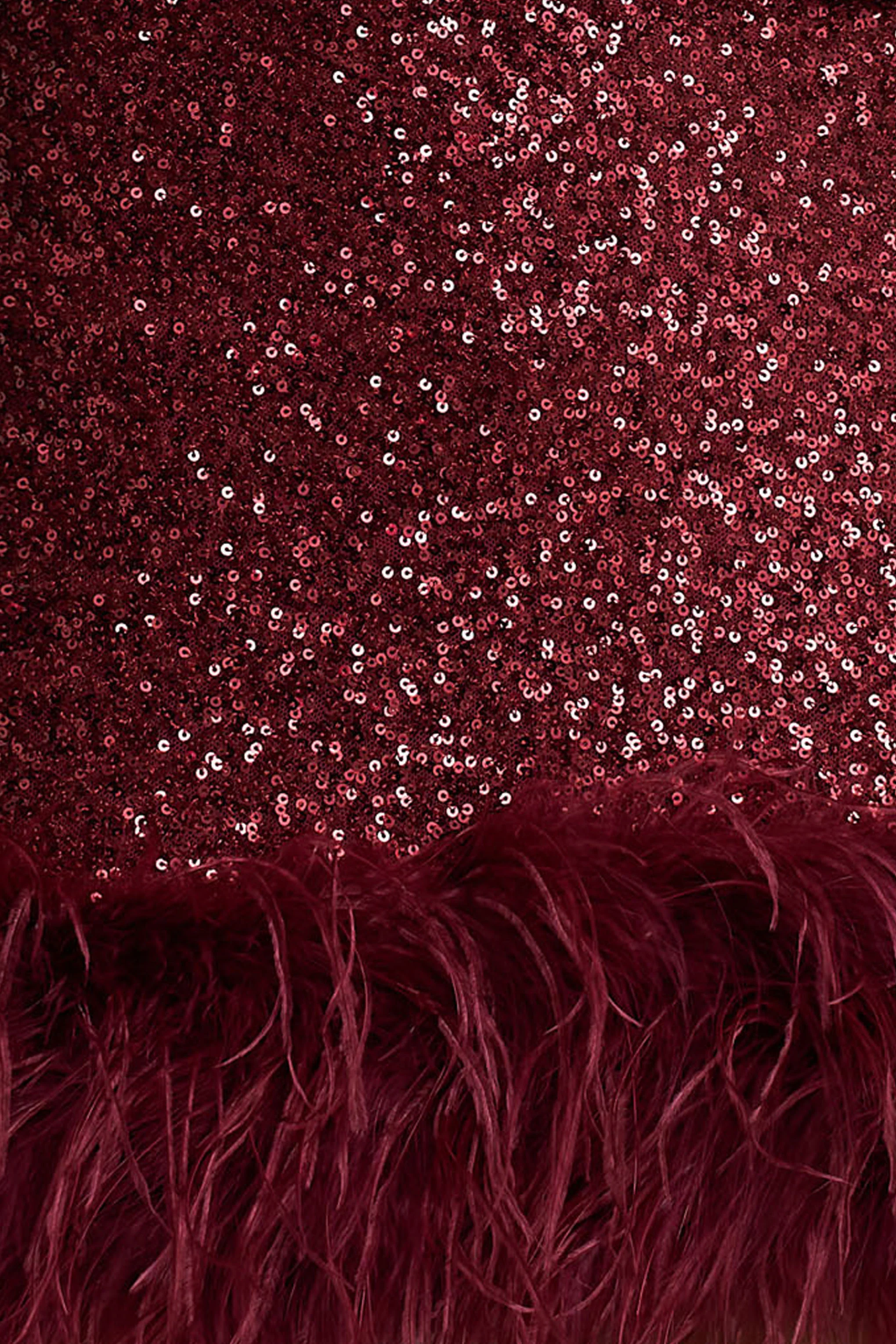 Rosalinda | Burgundy Sequin Square-Neck Mini Dress With Feather Trim