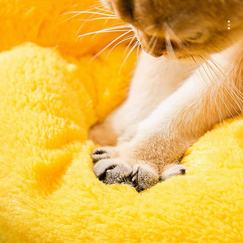 Sunflower Shape Comfortable Cat Nest Bed