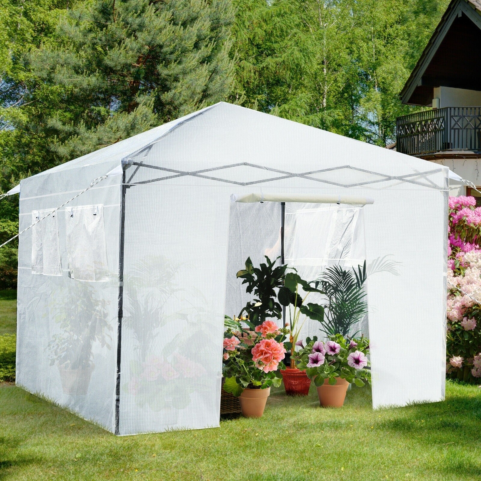 Outdoor Portable Mini Walk-in Garden Greenhouse