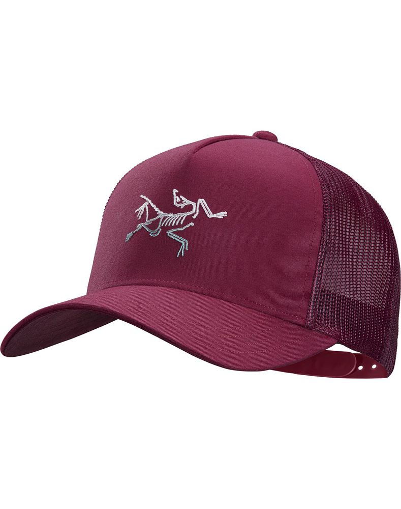 Arc'teryx Polychrome Bird Trucker Hat Womens - Pink