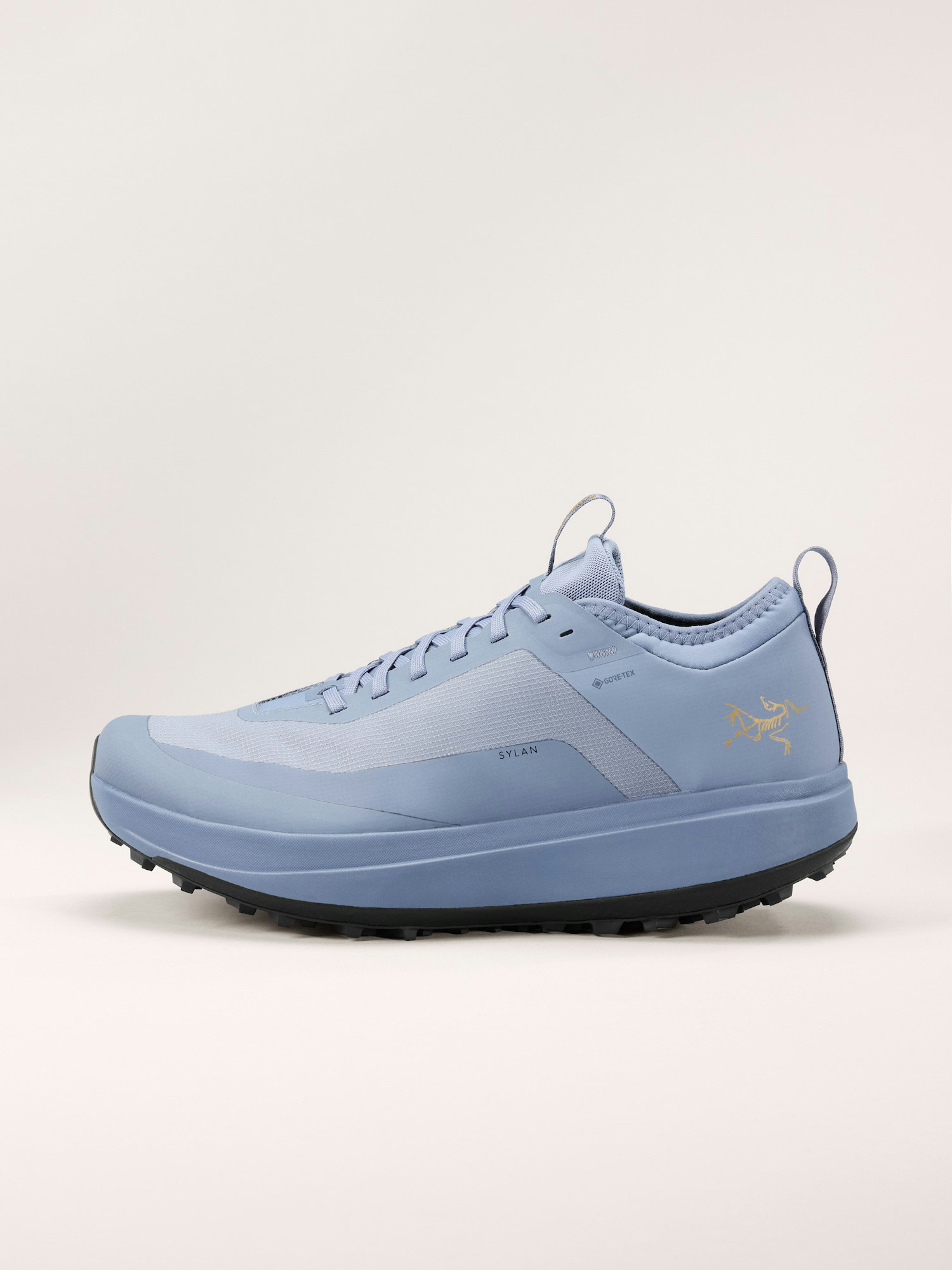 Sylan GTX Shoe Men's