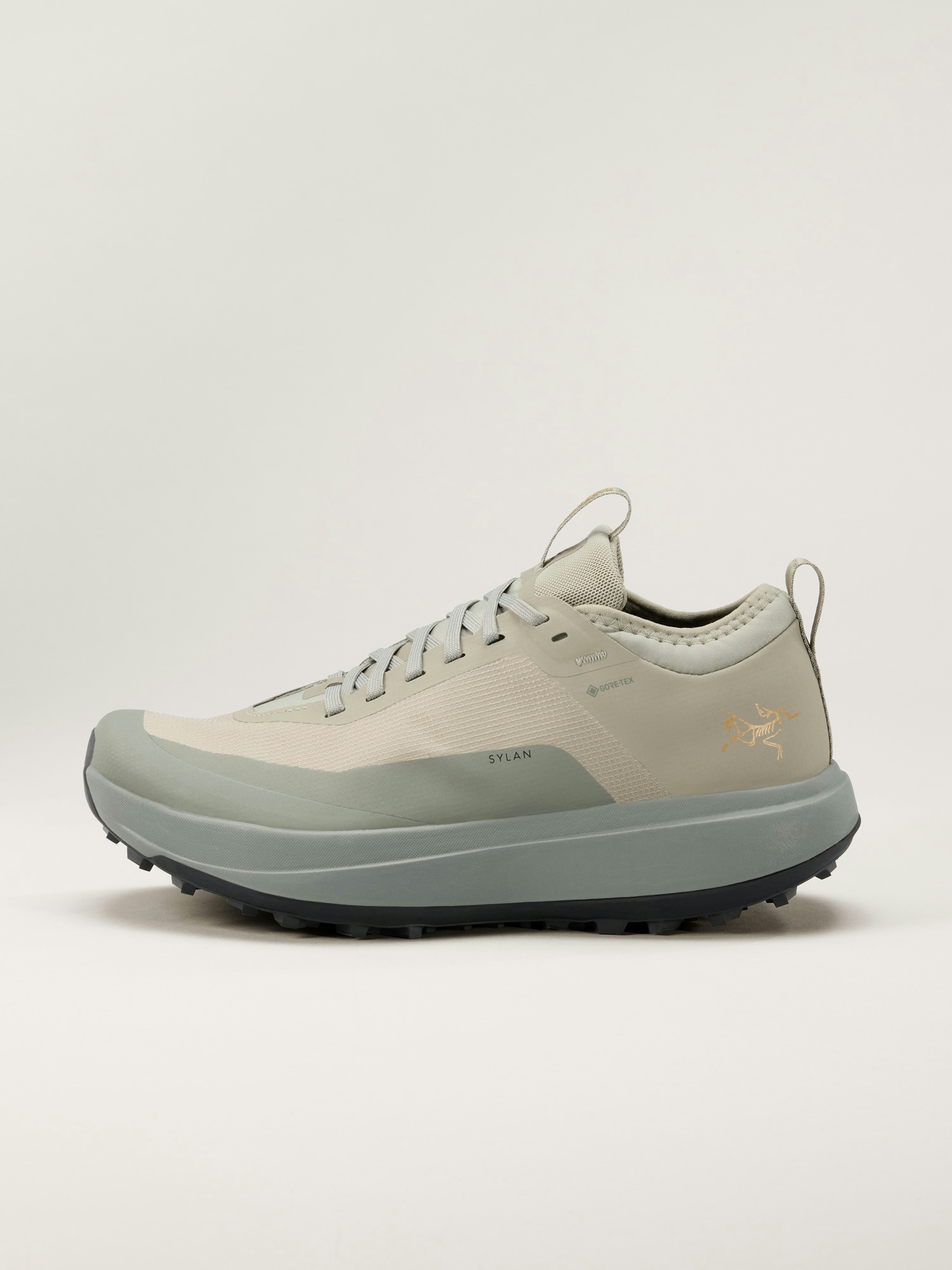 Sylan GTX Shoe Women's