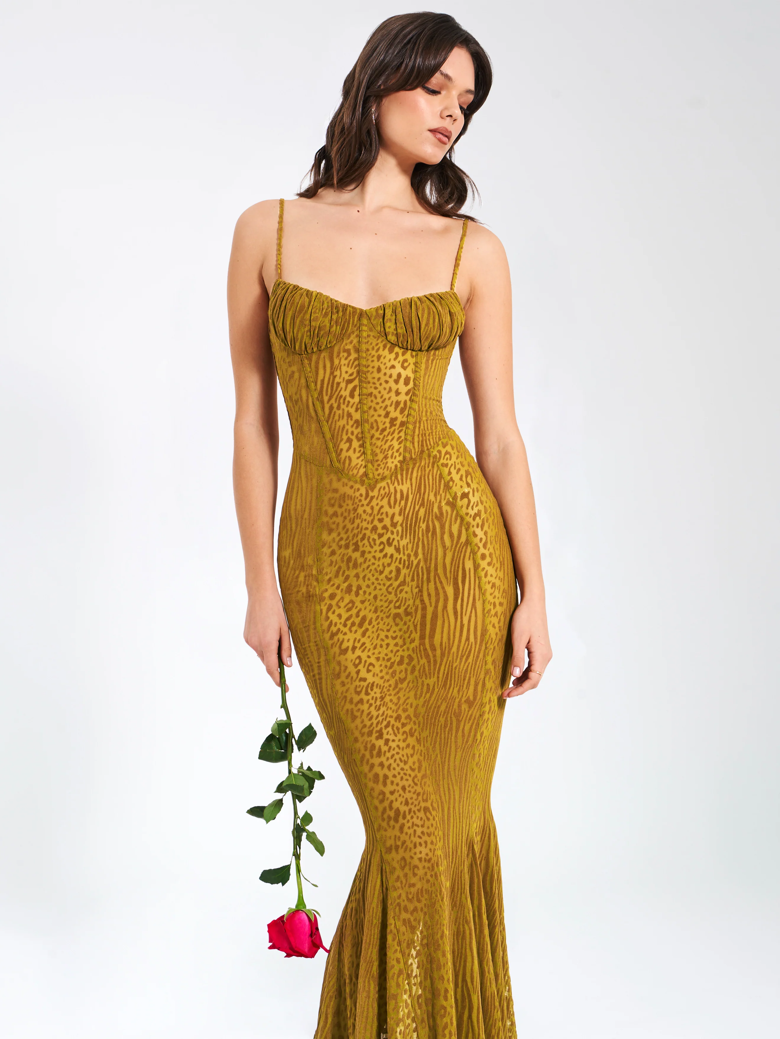 Ulani Gold Burnout Velvet Detail Mesh Maxi Dress