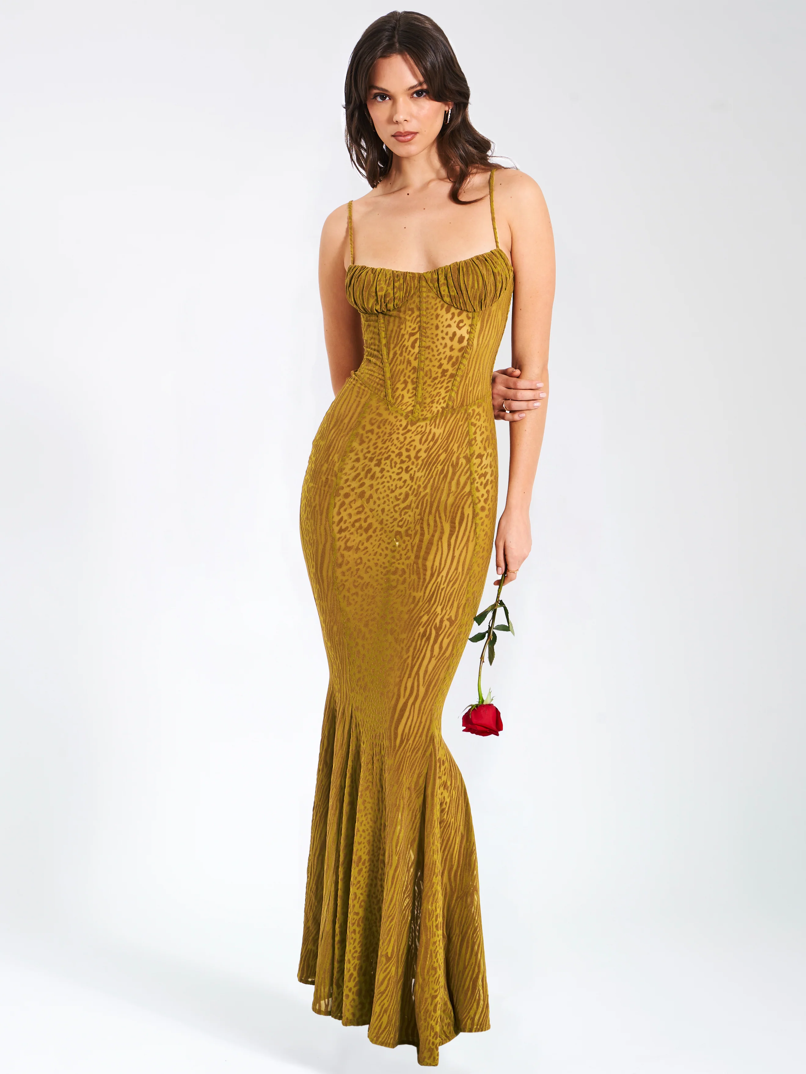 Ulani Gold Burnout Velvet Detail Mesh Maxi Dress