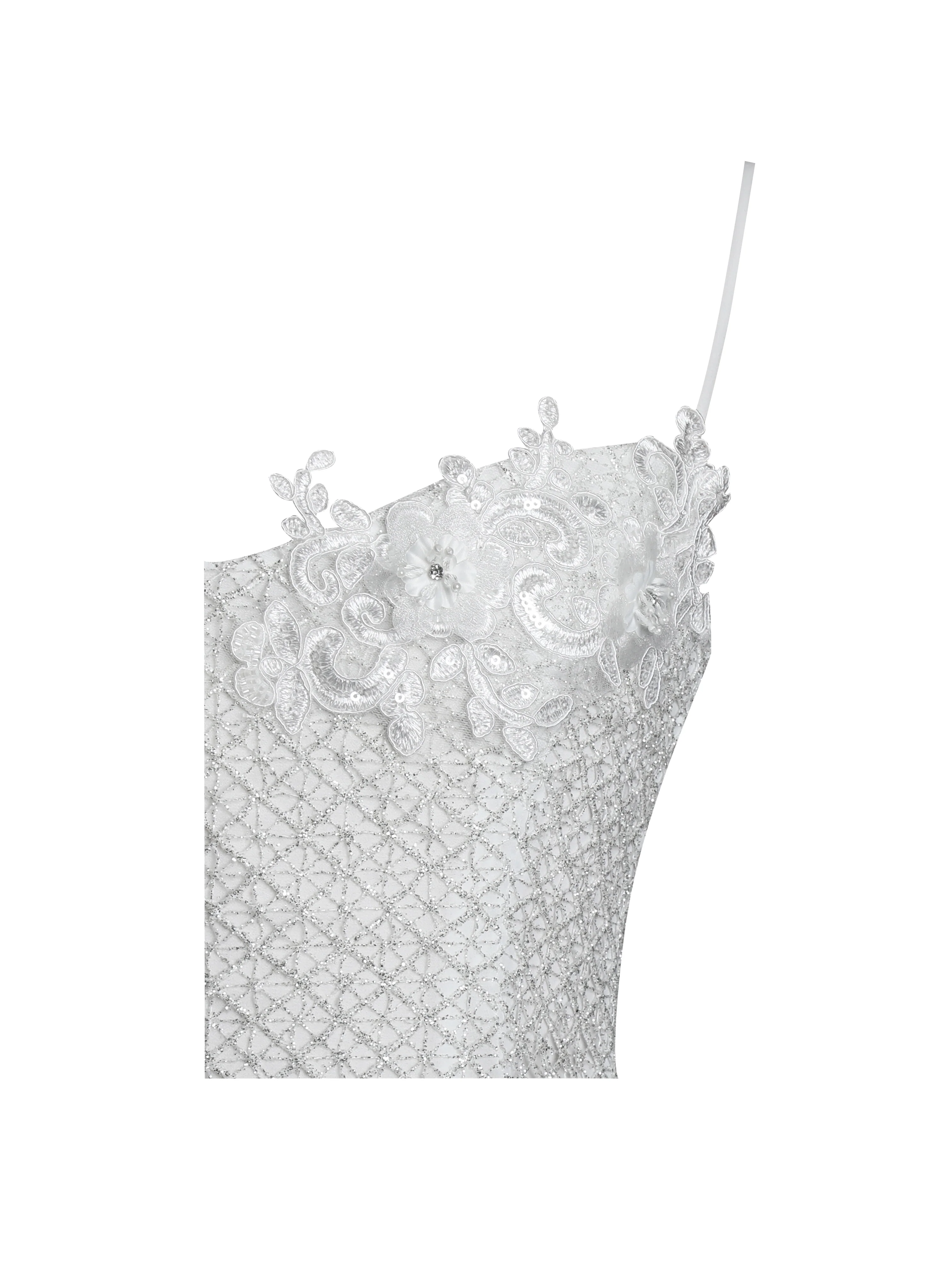 Fabiola Lace Trim Silver Net Top Mini Flare Chiffon Dress