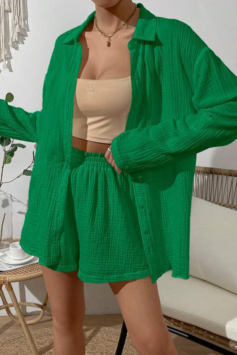 Kaynafashions - Casual Simplicity Solid Fold Turndown Collar Long Sleeve Two Pieces