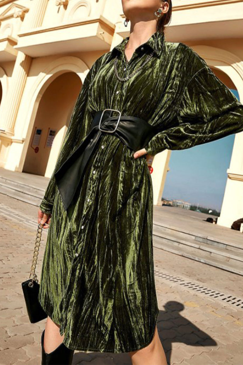 Kaynafashions - Elegant Solid Without Belt Turndown Collar A Line Dresses